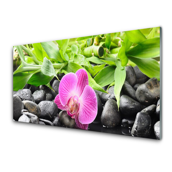 Üvegkép Orchidea virág bambusz köveken