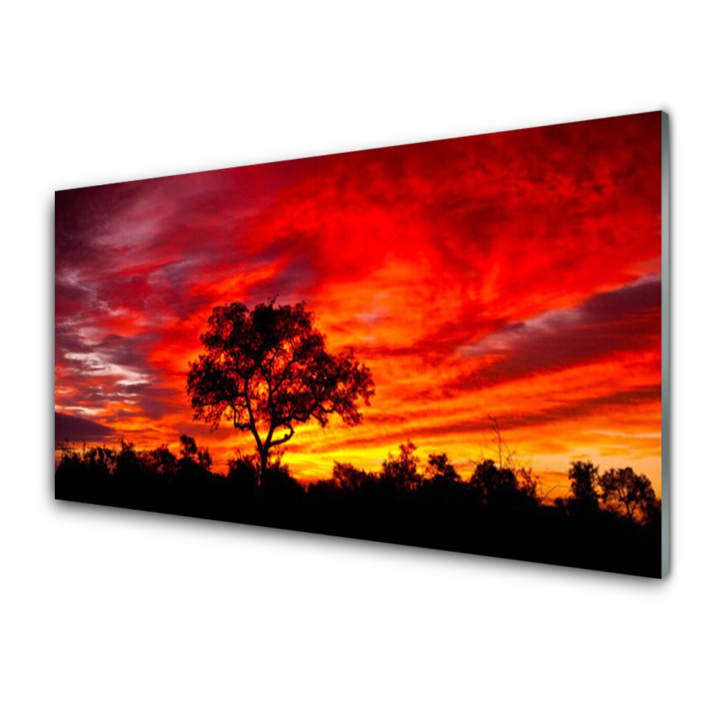 Üvegkép Erdei táj Red Sky Tree