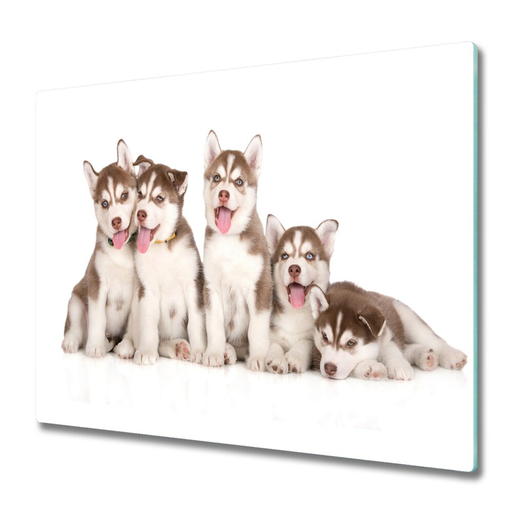 Főzőlap Védő Üveglap Husky kölykök