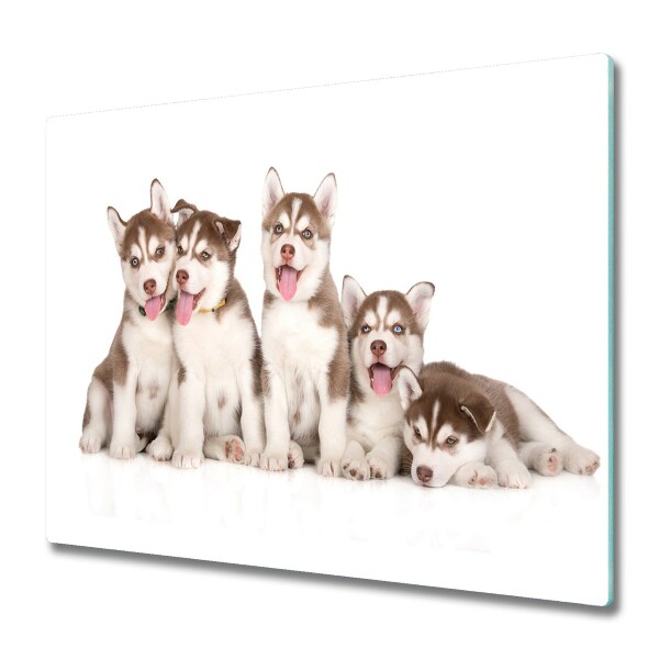 Főzőlap Védő Üveglap Husky kölykök