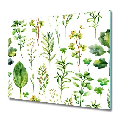 Tűzhely Védő Növények és gyógynövények