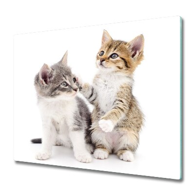 Edzett Üveg Vágódeszka Egy pár kis cica