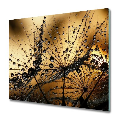 Üveg Tűzhelyvédő Pitypang magvak és vízcseppek