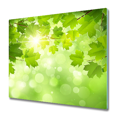 Tűzhelyvédő Üveglap Fiatal gesztenye levelek