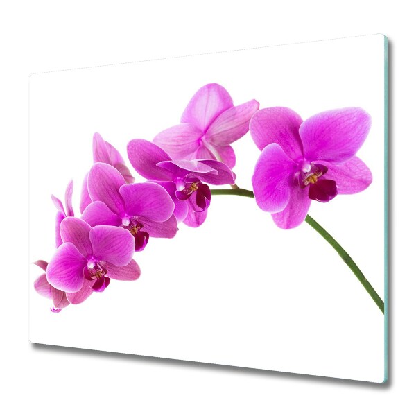 Tűzhelyvédő Üveglap Rózsaszín orchidea virág