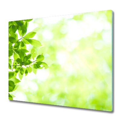 Főzőlap Védő Üveglap Levelek és zöld háttér