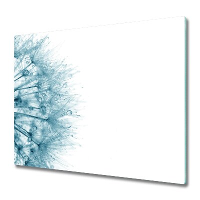 Tűzhelyvédő Gyermekláncfű fehér háttér