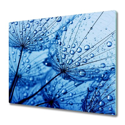 Üveg Tűzhelyvédő Pitypang mag harmatcseppekkel