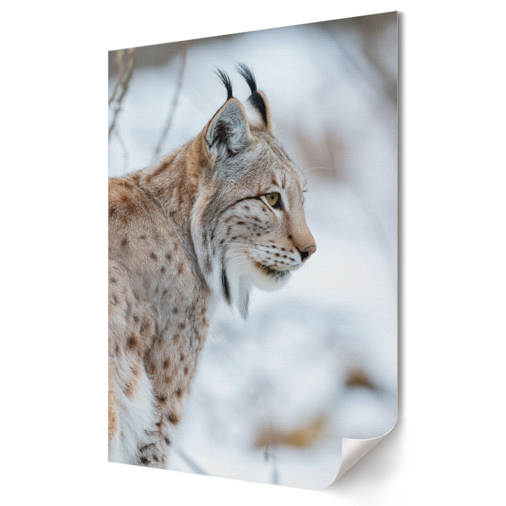 Fali poszter Lynx téli ölelésében