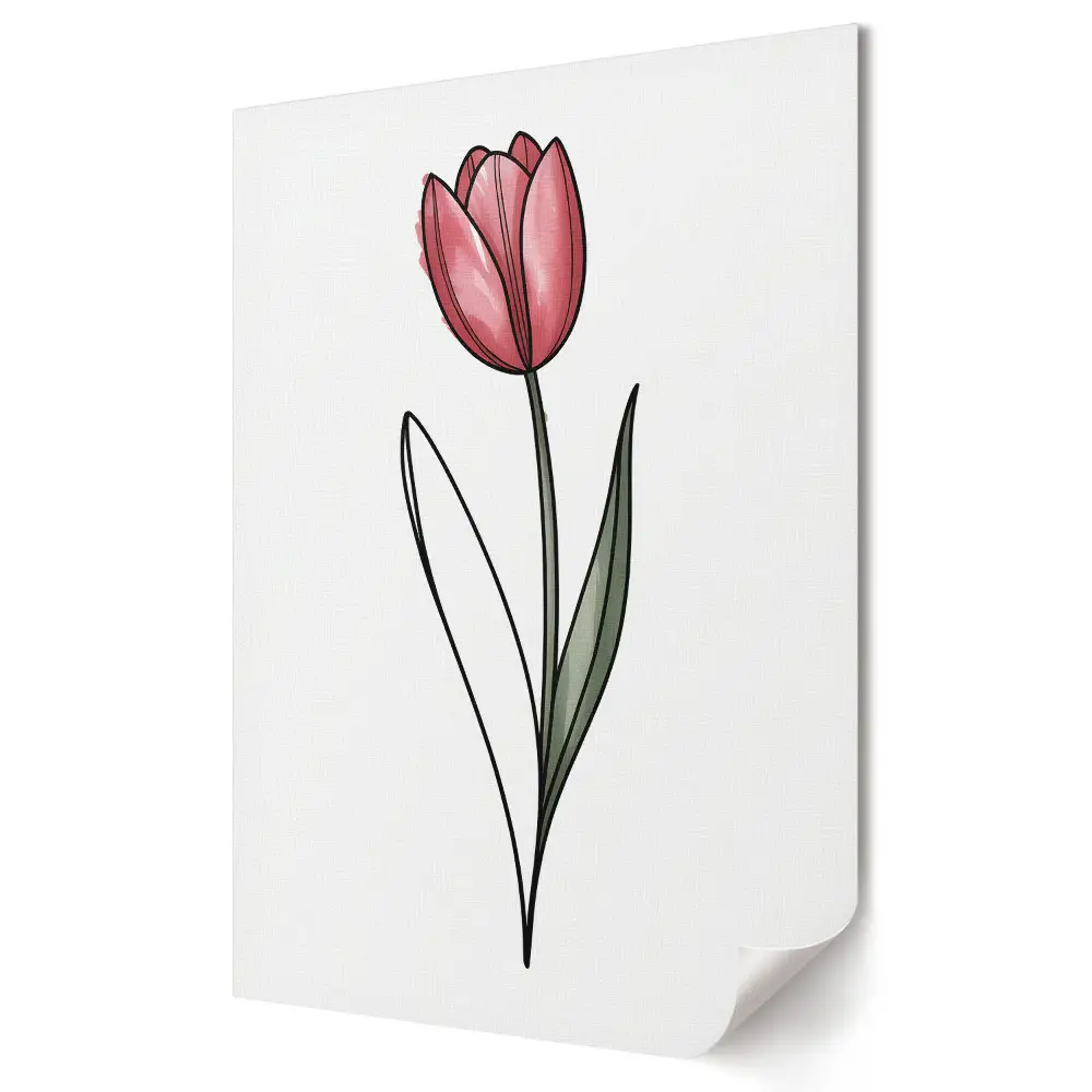 Elegáns tulipán fehér alapon plakát