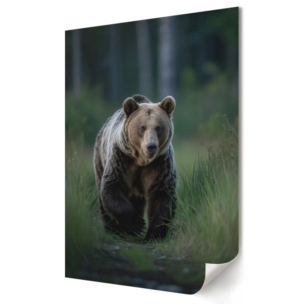 Grizzly medve természetes élőhelyén faliposzter