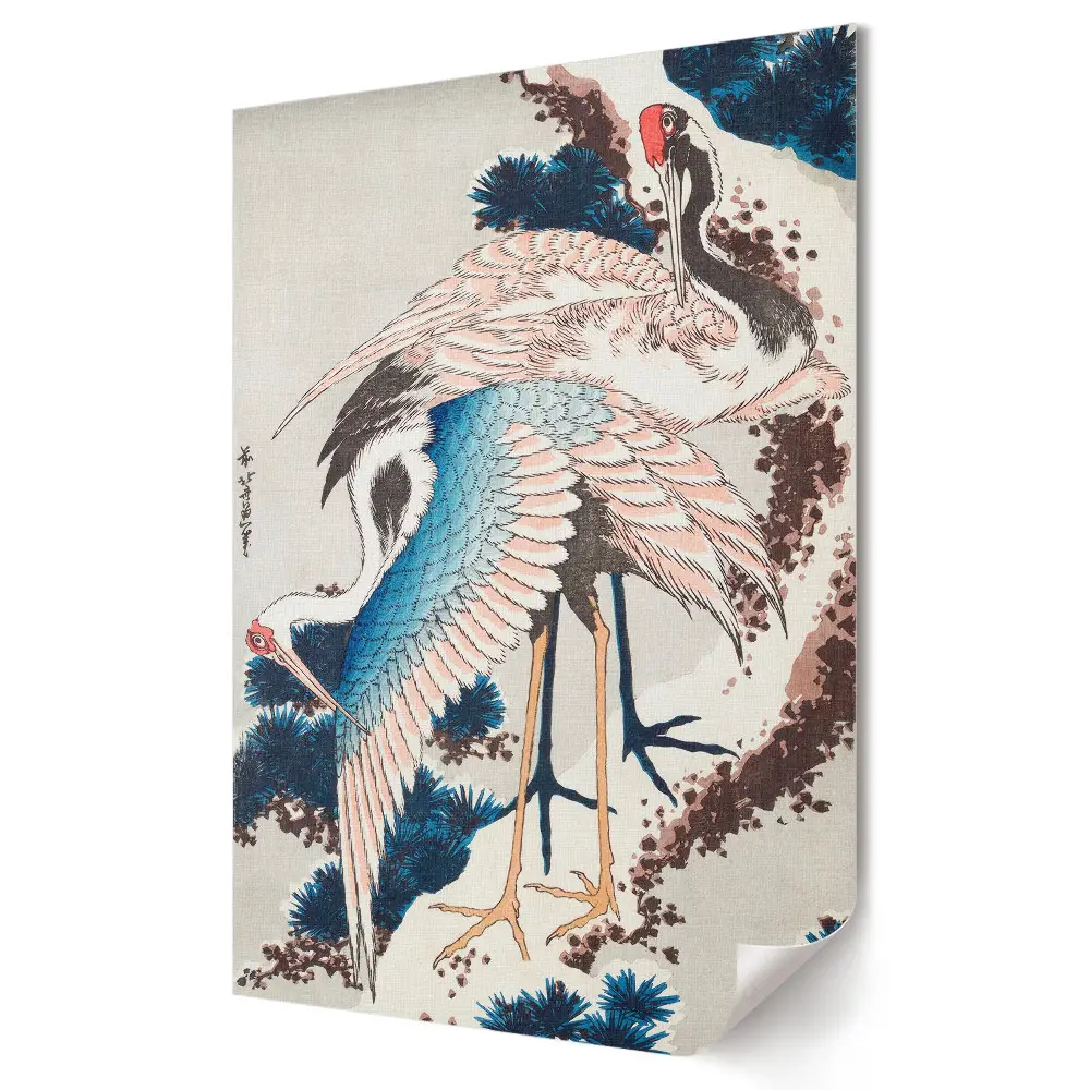 A japán stílusú daruk eleganciája fali poszter