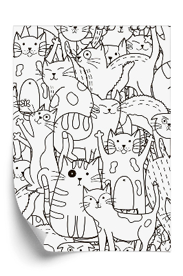 Öntapadós tapéta Fekete-fehér macskák háttér