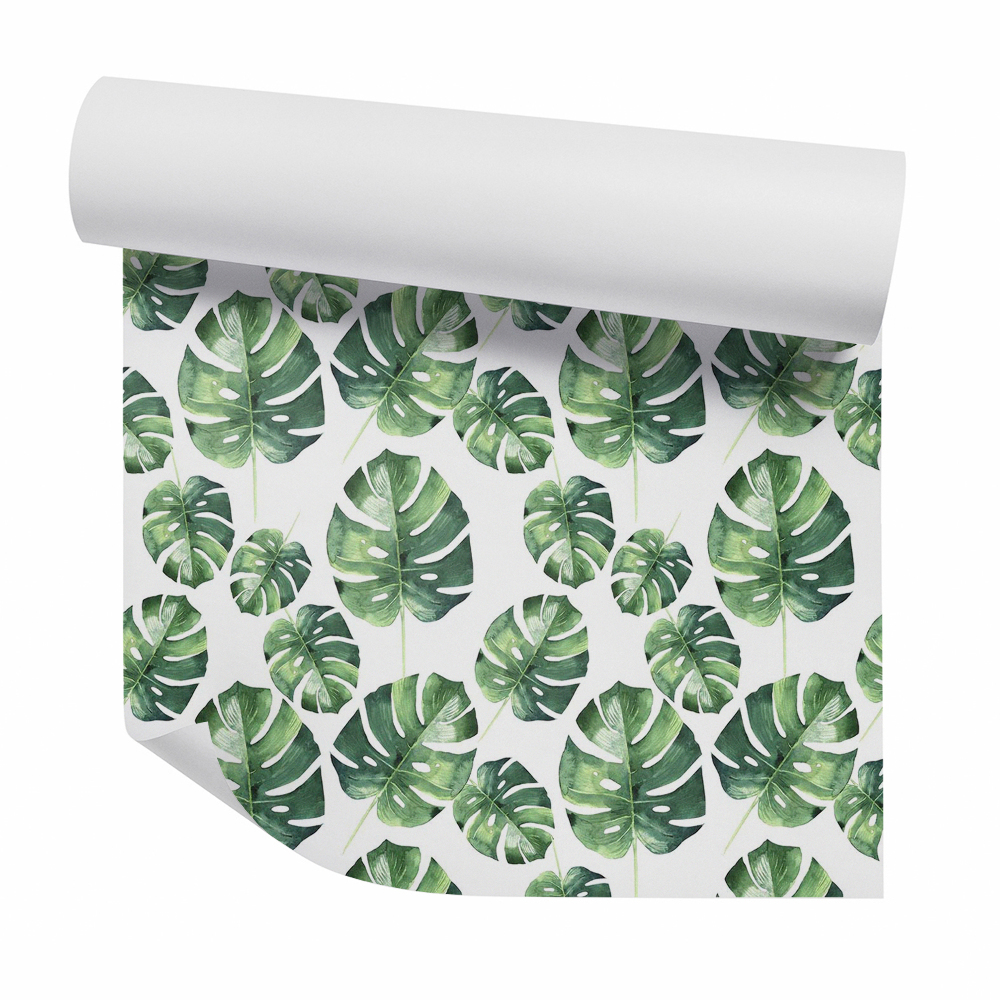 Modern tapéta Nagy Monstera levelek