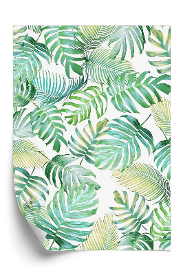 Öntapadós tapéta Zöld trópusi levelek