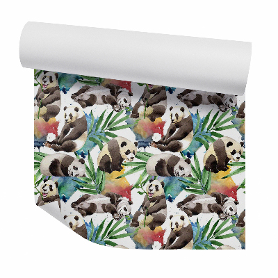 Modern tapéta Dekoratív pandák