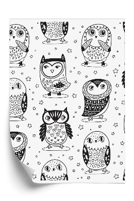 Öntapadós tapéta Fekete rajzolt baglyok