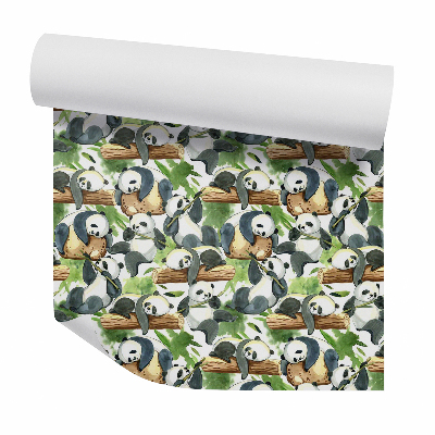 Fotótapéta falra Alvó pandák bambuszokon