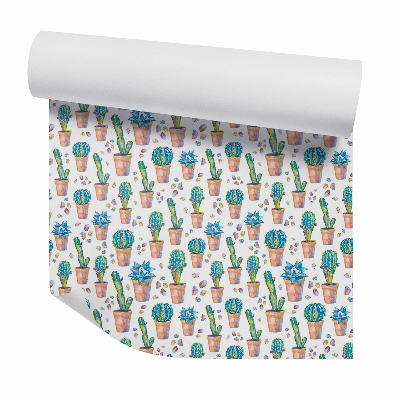 Öntapadós tapéta falra Kaktusz cserépben kavicsokkal