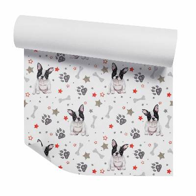 Zidna tapeta Imádnivaló francia bulldog kiskutya