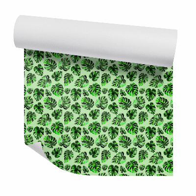 Zidna tapeta Absztrakt zöld monstera levelek