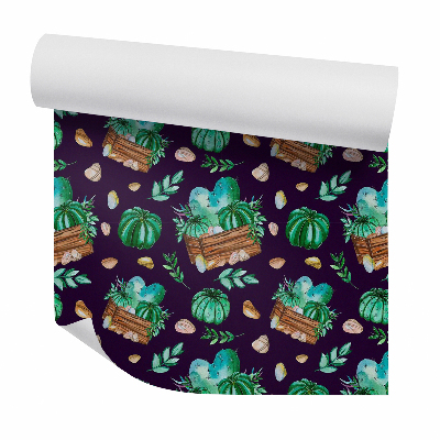 Öntapadós tapéta falra Kaktusz sötét fa edényben