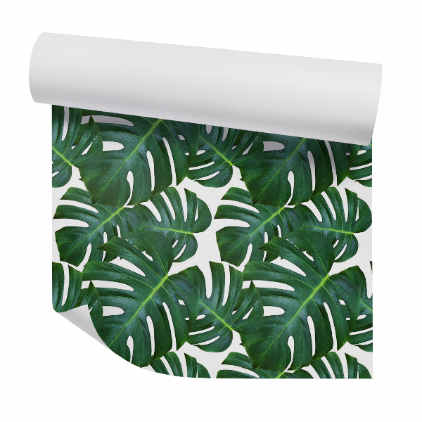 Foto tapeta Monstera nagy zöld levél