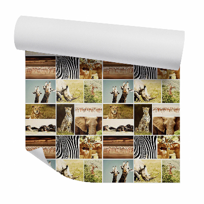 Fotótapéta falra Szavanna állatok négyzetekben