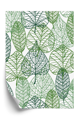 Tapéta Zöld rajzolt levelek