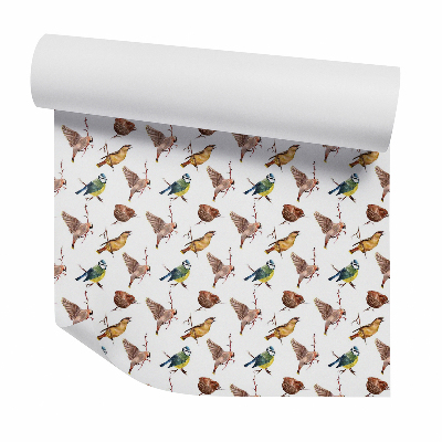 Dekor tapéta Veréb és más madarak