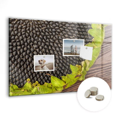 Mágneses fali tábla Napraforgó virág