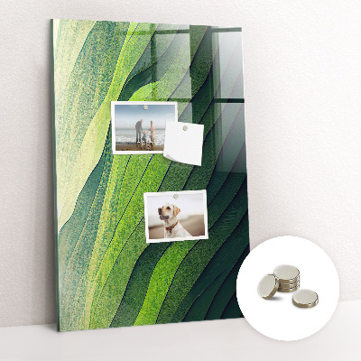 Mágnestábla Zöld természet zenekarok