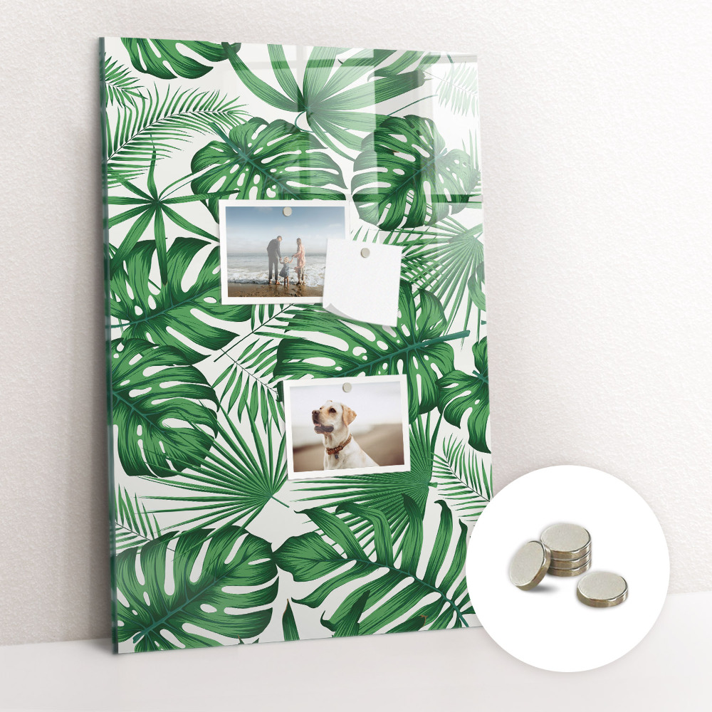 Mágnestábla Trópusi monstera levelek