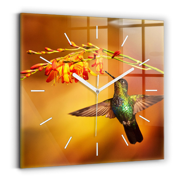 Szögletes fali üvegóra 30x30 Kolibri madár