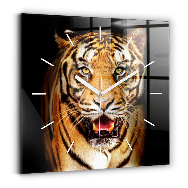 Négyzet alakú üvegóra 30x30 Tigris - vad szemek