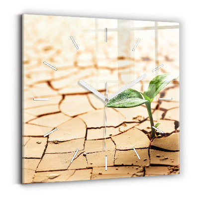 Négyzetes üvegóra 30x30 Száraz talajba ültessük