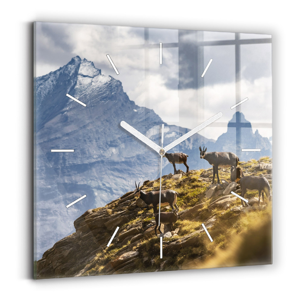 Szögletes üvegóra 30x30 Kecske az Aosta-völgyben