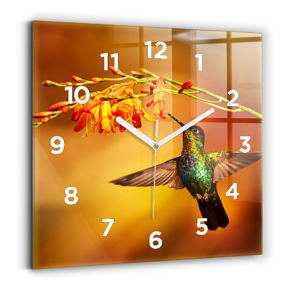 Szögletes fali üvegóra 30x30 Kolibri madár