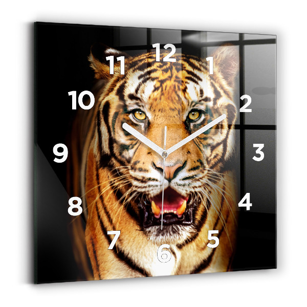 Négyzet alakú üvegóra 30x30 Tigris - vad szemek