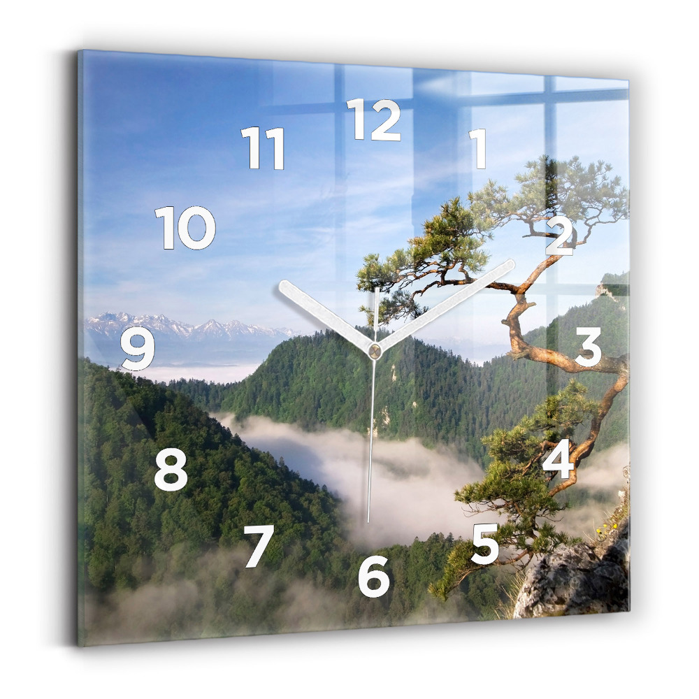 Szögletes fali üvegóra 30x30 Sokolica Wierch a Pieniny-hegységben