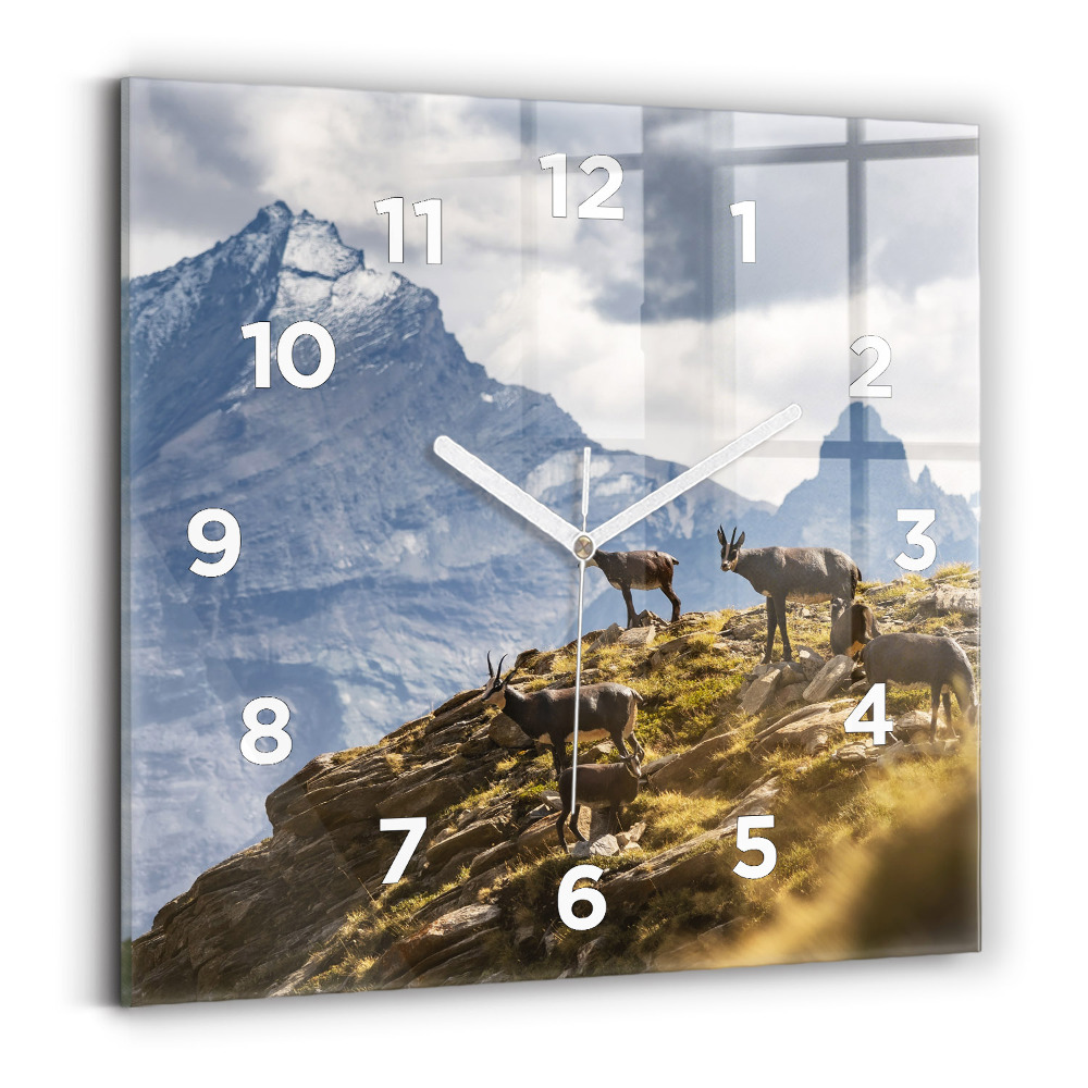 Szögletes üvegóra 30x30 Kecske az Aosta-völgyben