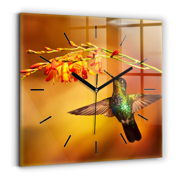 Szögletes fali üvegóra 30x30 Kolibri madár