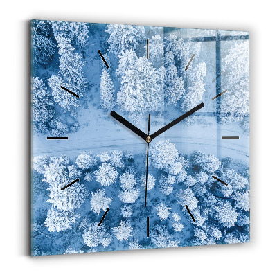 Szögletes fali üvegóra 30x30 Erdő drónból