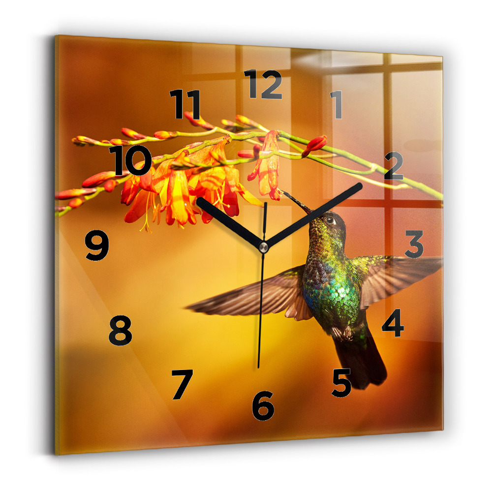 Szögletes fali üvegóra 30x30 Kolibri madár