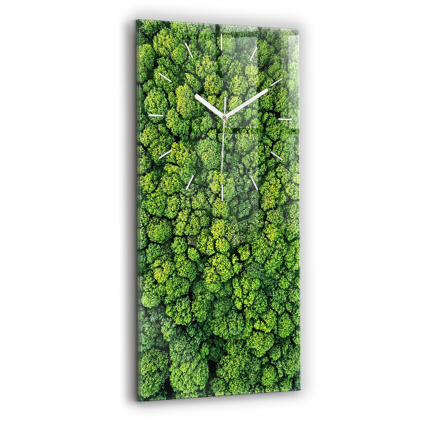 Négyszögletes fali üvegóra 30x60 Erdő felülről