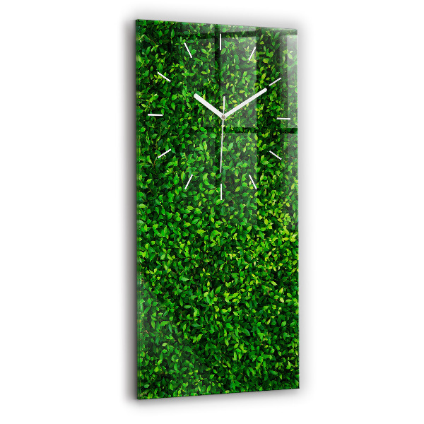 Négyszögletes fali üvegóra 30x60 Sövénylevelek