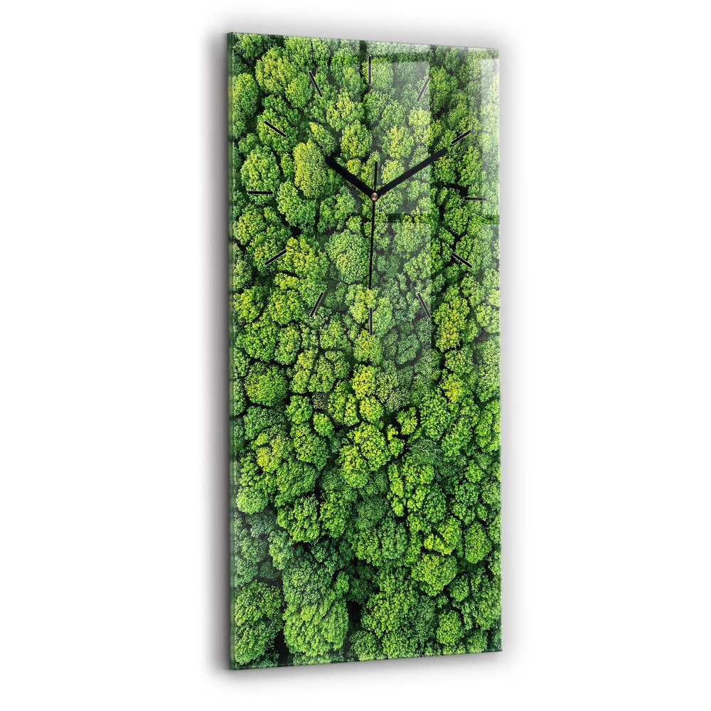 Négyszögletes fali üvegóra 30x60 Erdő felülről