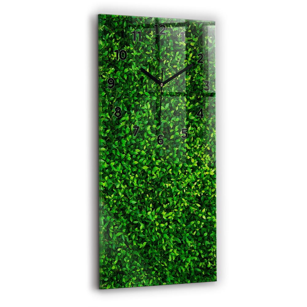 Négyszögletes fali üvegóra 30x60 Sövénylevelek