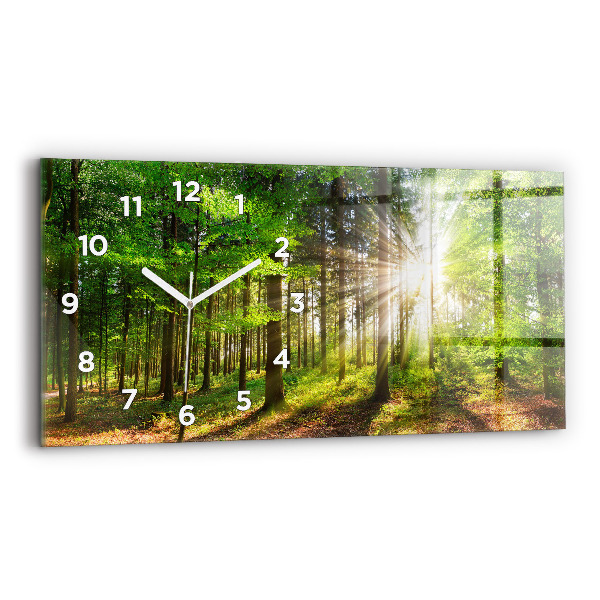 Üvegóra vízszintesen 60x30 Erdei napfelkelte