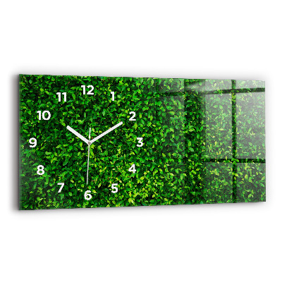 Üvegóra vízszintesen 60x30 Sövény levelek